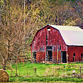Jemerson Creek Barn