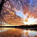 Reflected Glory