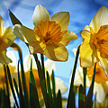 Hello Spring